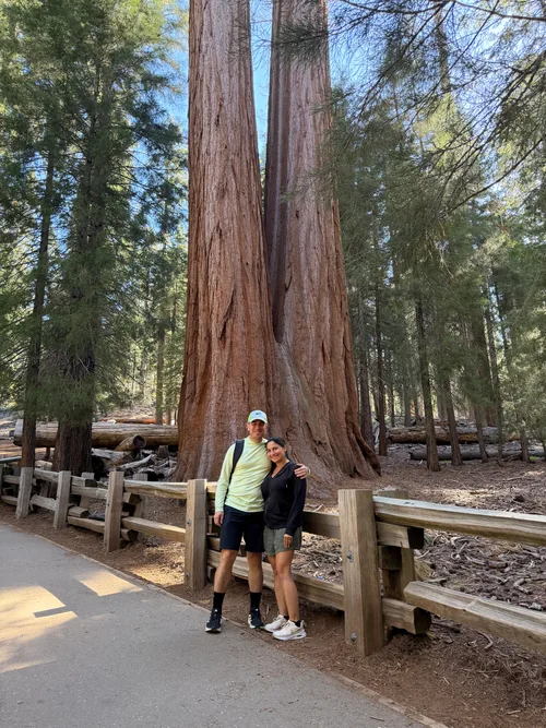 Nick Bochette and his wife beside a giant tree